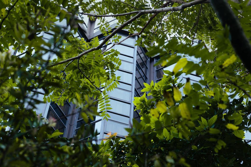 Primacy Apart Hotel Mar del Plata Bagian luar foto